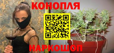 дмт Дубна