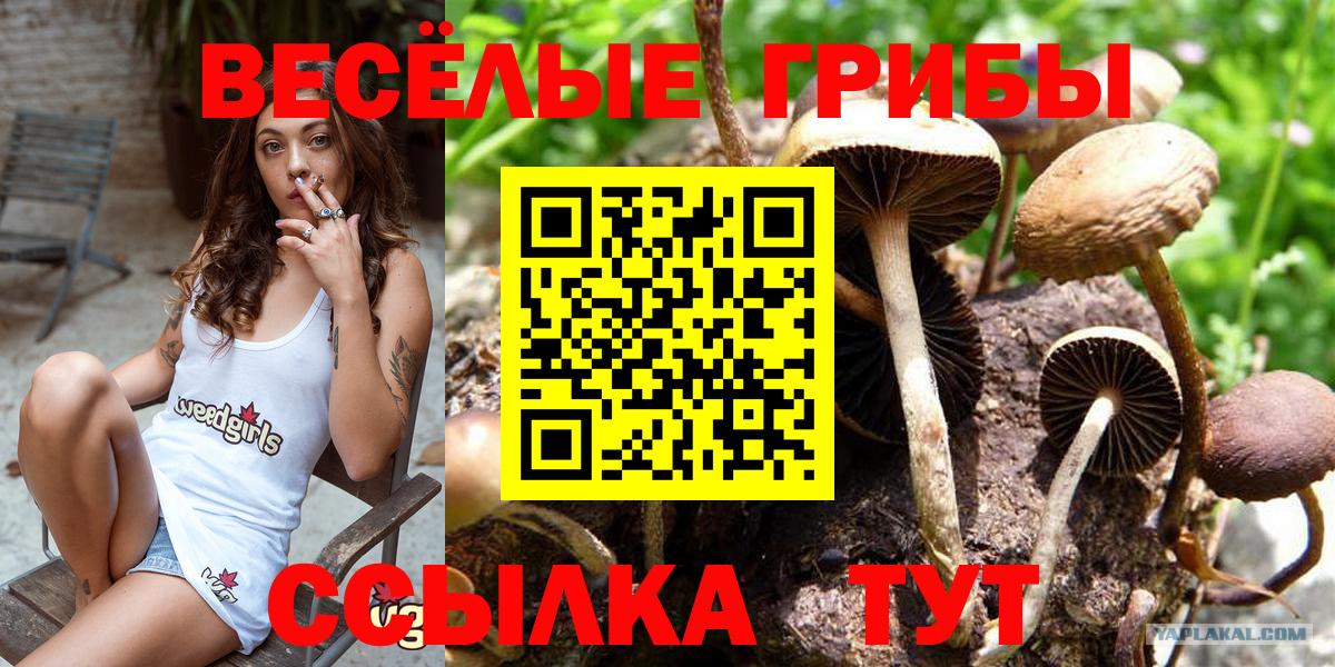 Галлюциногенные грибы мухоморы  Псилоцибиновые грибы мухоморы  Вход с VPN  Муравленко 